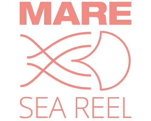 Logo SEA REEL_sin tagline